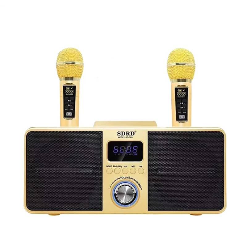 Loa karaoke SD-309 kèm 2 micro ko dây