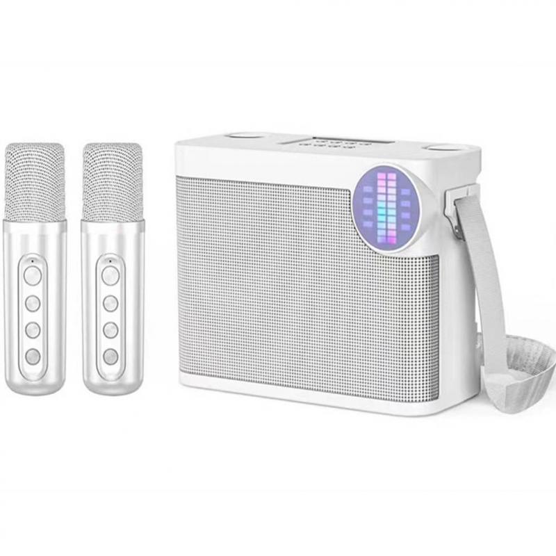 Loa karaoke mini YS-214 kèm 2 micro không dây có đèn LED