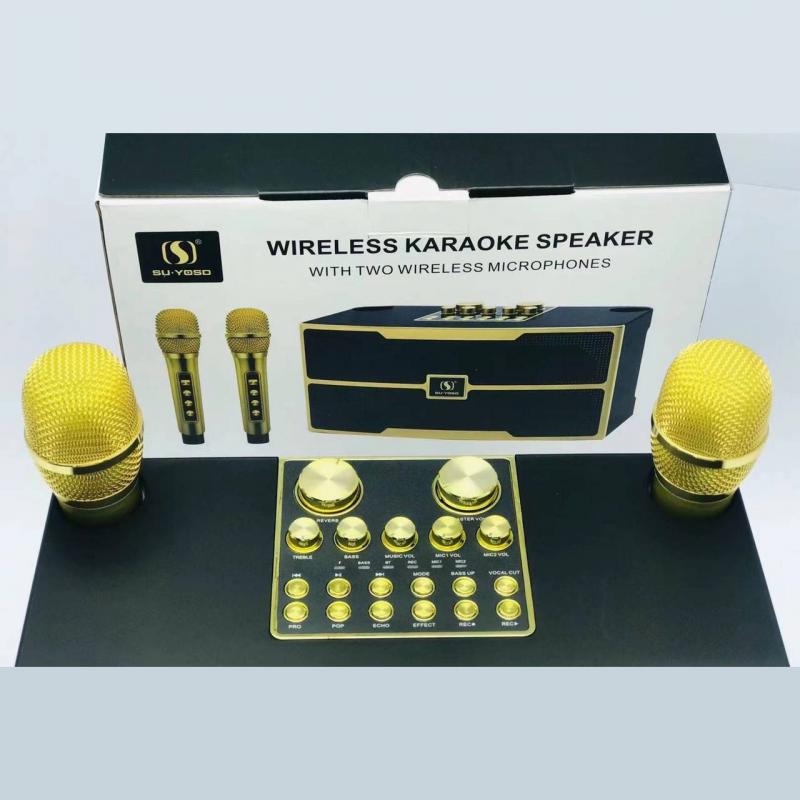 Loa karaoke YS-201 (kèm 2 mic không dây)