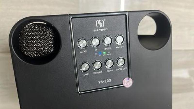 Loa karaoke mini YS-203 kèm 2 mic không dây