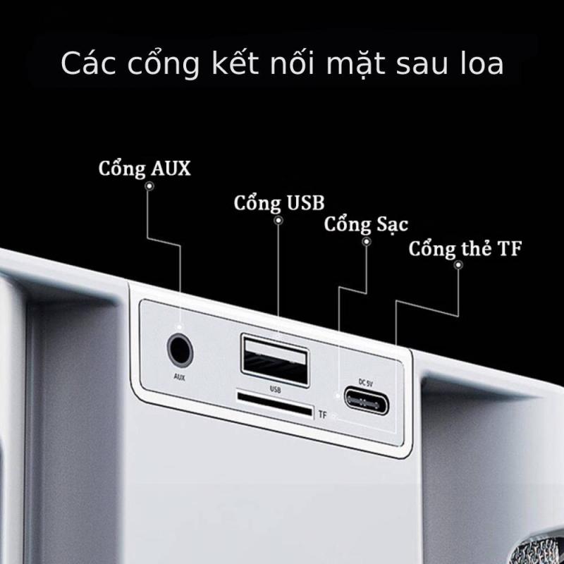 Loa bluetooth karaoke YS-213 đi kèm 2 micro không dây