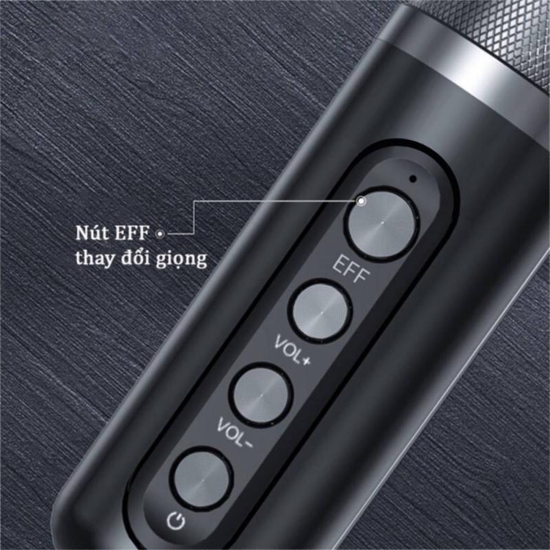 Loa bluetooth karaoke YS-213 đi kèm 2 micro không dây