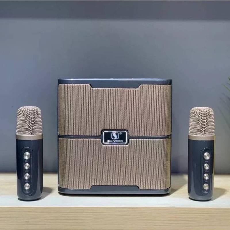 Loa bluetooth karaoke YS-213 đi kèm 2 micro không dây